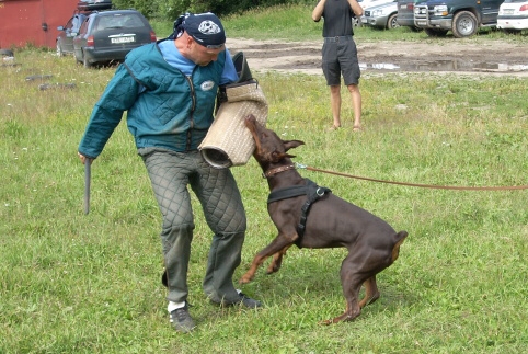 Training in Estonia 6/2007